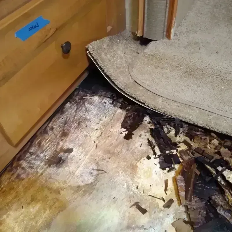 Wood Floor Water Damage in Sumner, IA